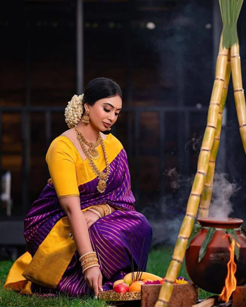 Palatinate Purple Silk Saree With Rich Jacqaurd Pallu - Image 6